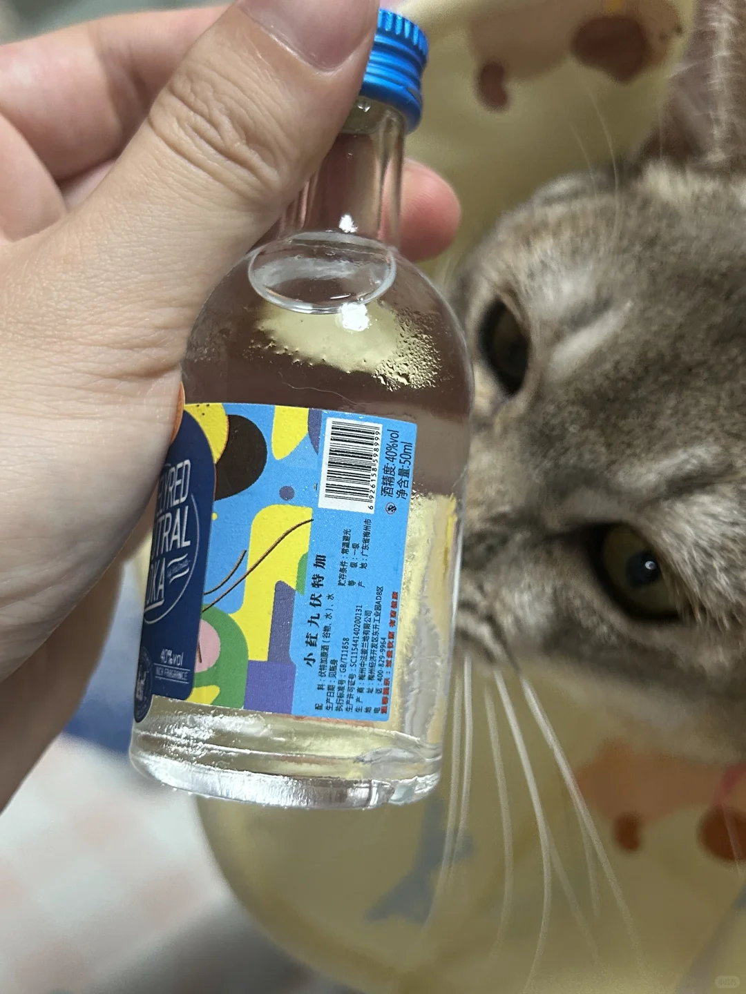 懒人版葡萄酒
