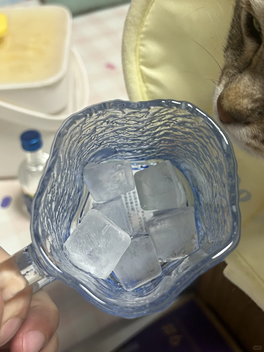 懒人版葡萄酒