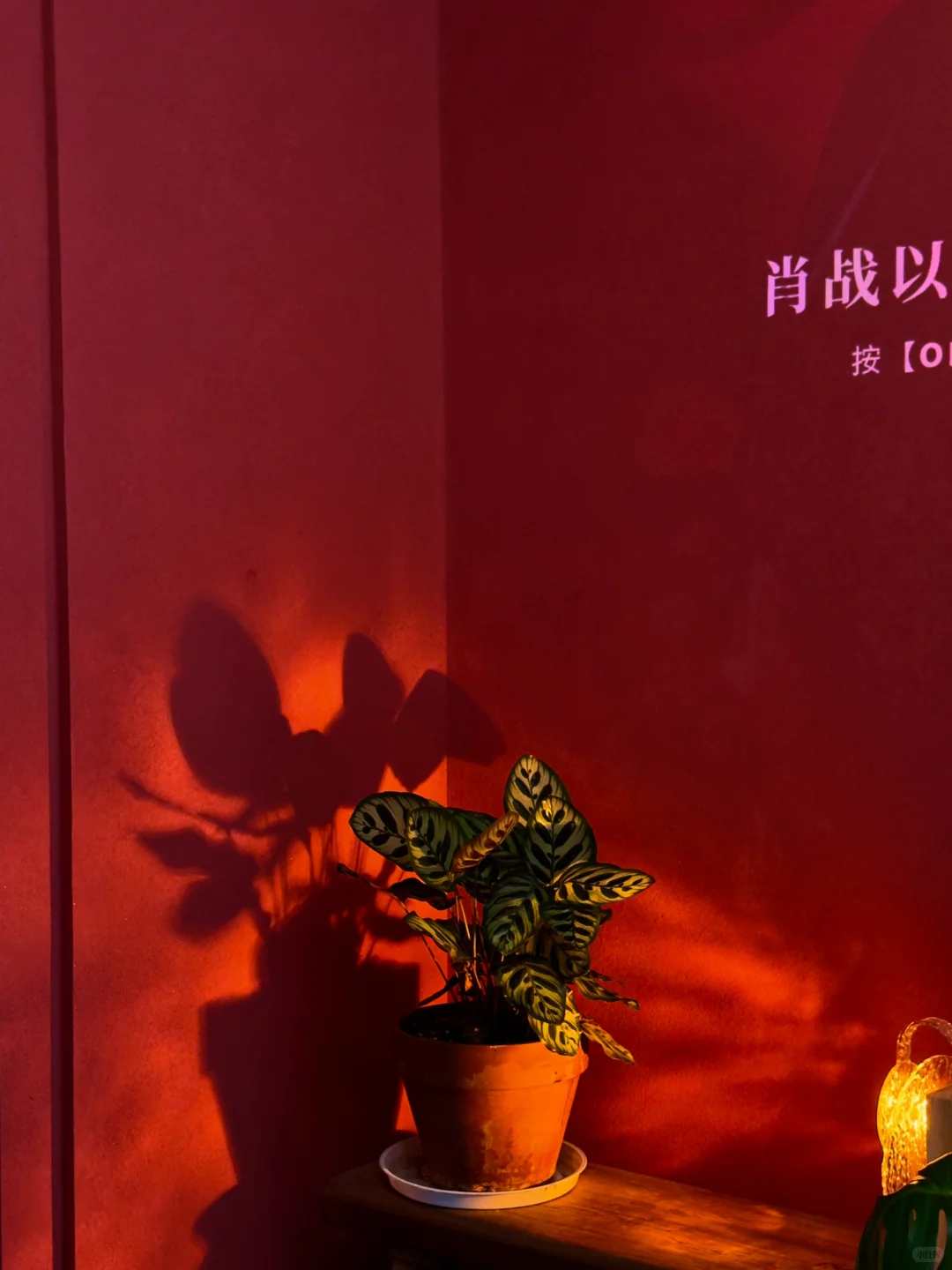 武汉的“小众”葡萄酒bistro