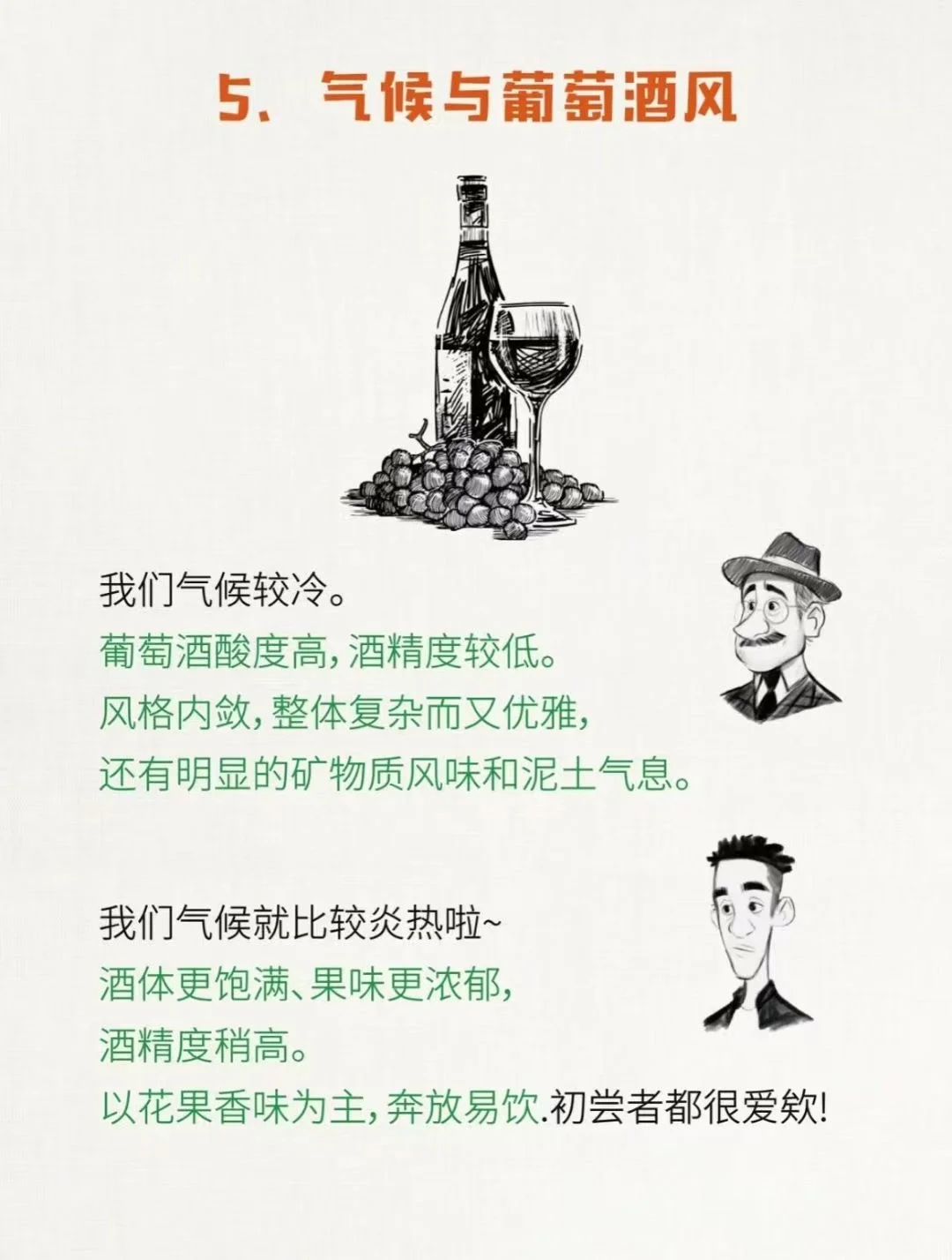 关于葡萄酒新旧世界的说法