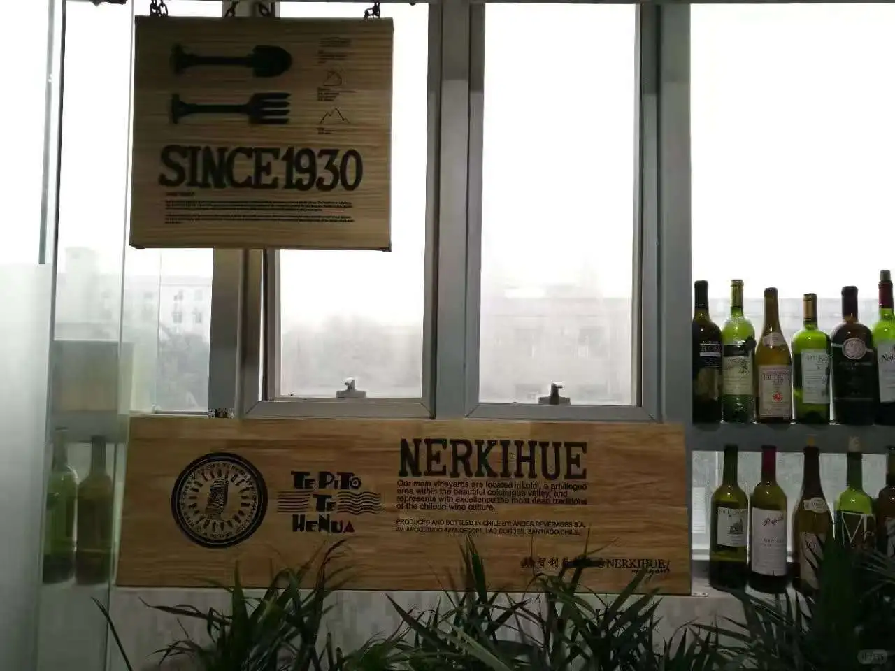 一个葡萄酒事业开启的地方