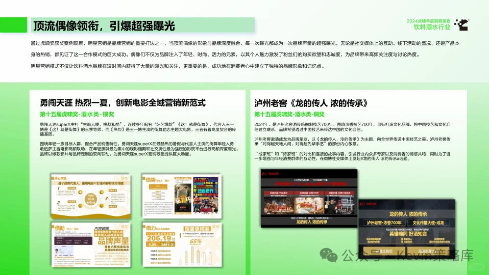虎啸年度报告