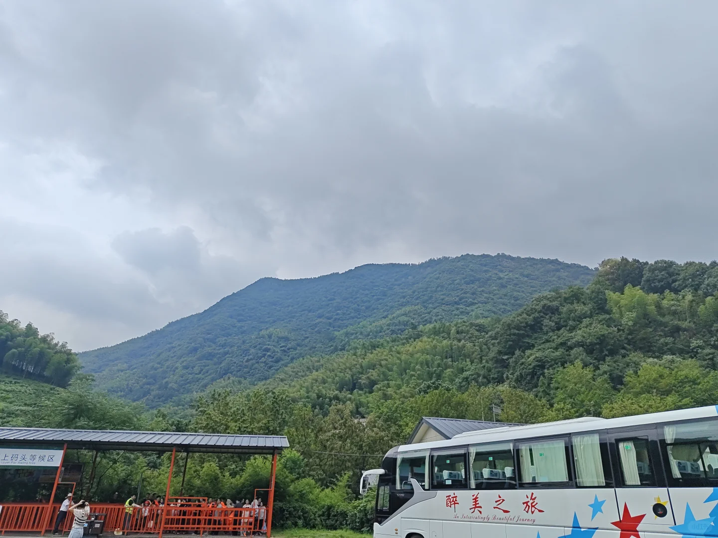 00后白酒特种兵?正式接市场的七-八天