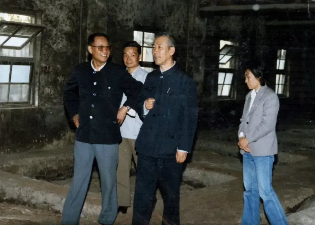 是谁让周恒刚感慨连获金奖四连冠，确实不易