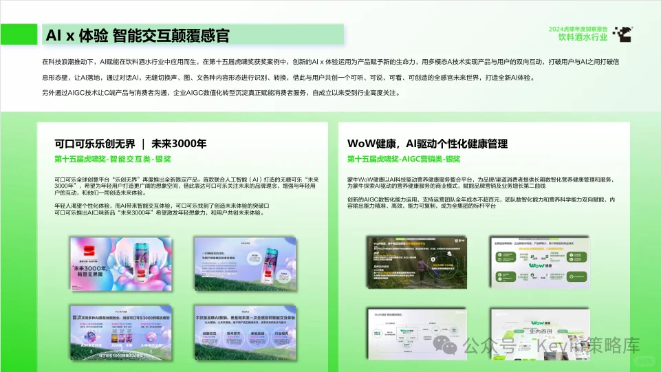 虎啸年度报告