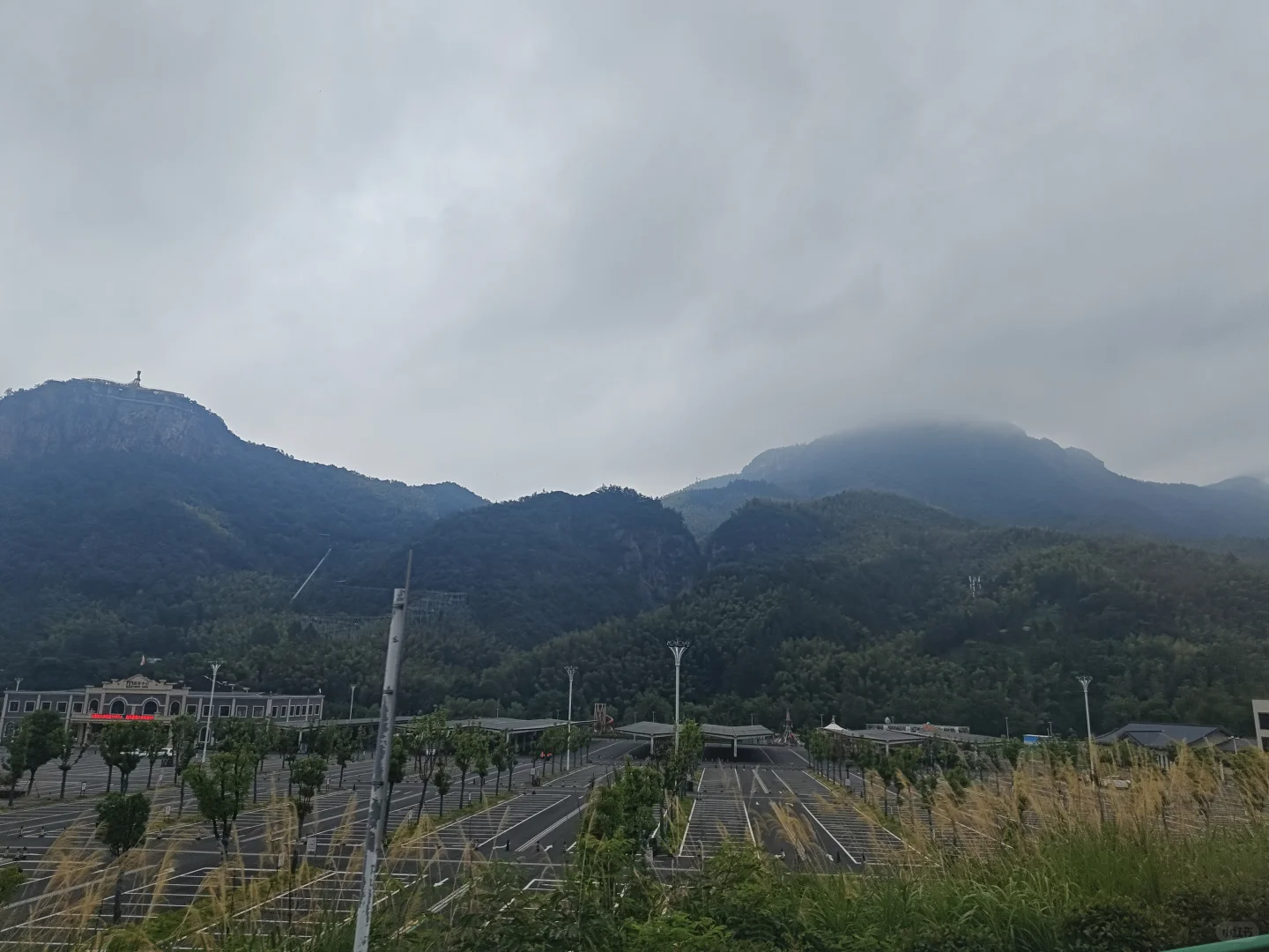 00后白酒特种兵?正式接市场的七-八天