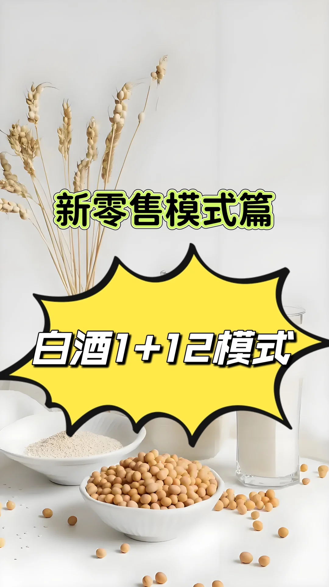 酒水行业1+12模式是怎么推广的？