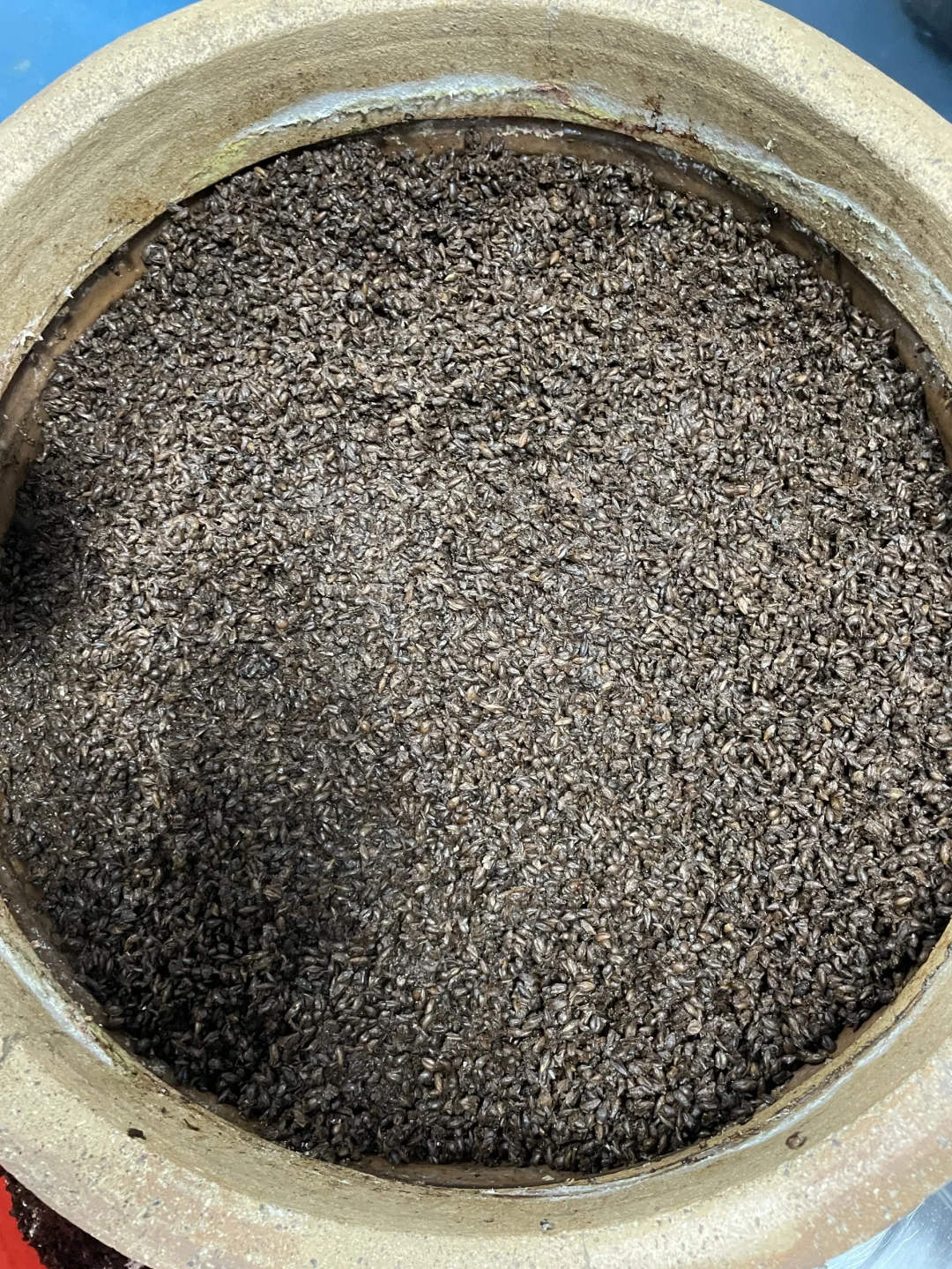 用做啤酒的黑麦芽做白酒，是一种什么体验