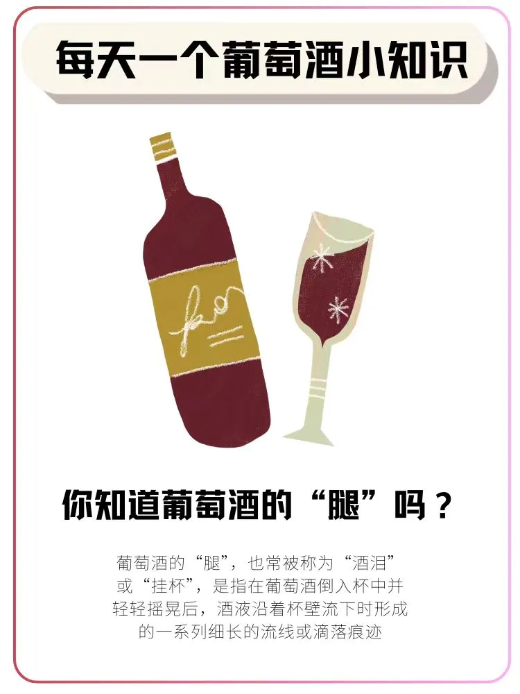 你知道葡萄酒的“腿”吗？