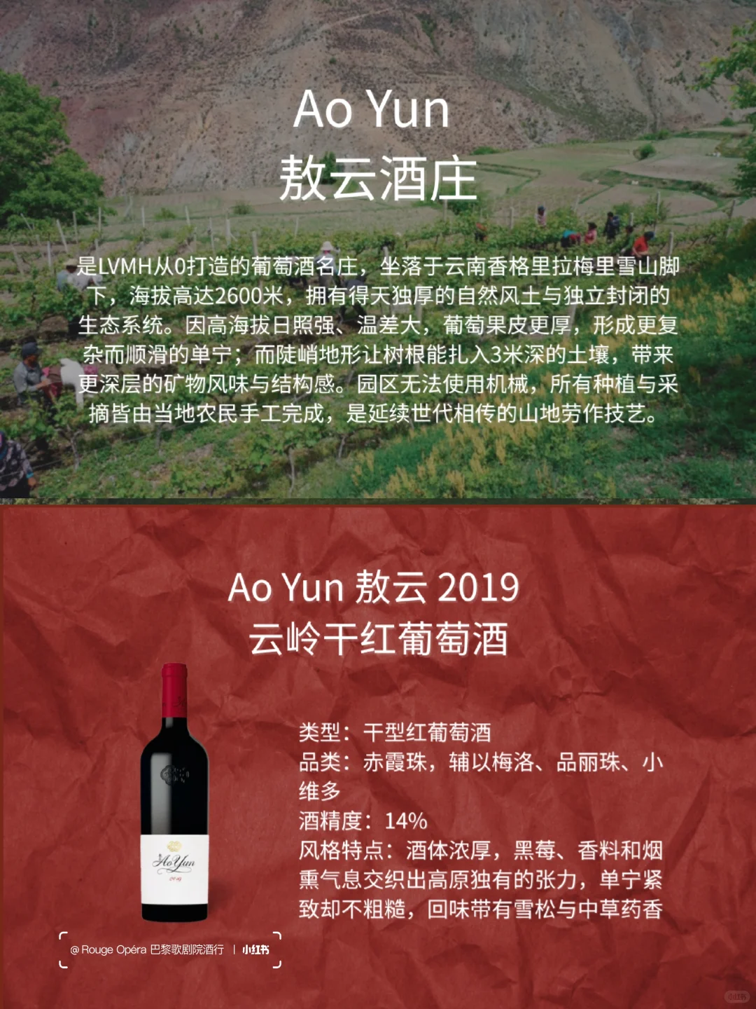 LVMH 旗下名庄酒 TOP7 都有谁上榜？