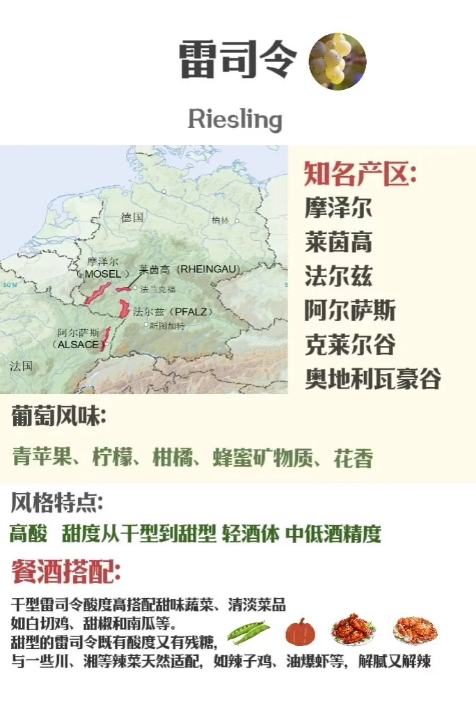 5分钟速通葡萄品种 ，你也可以变红酒达人