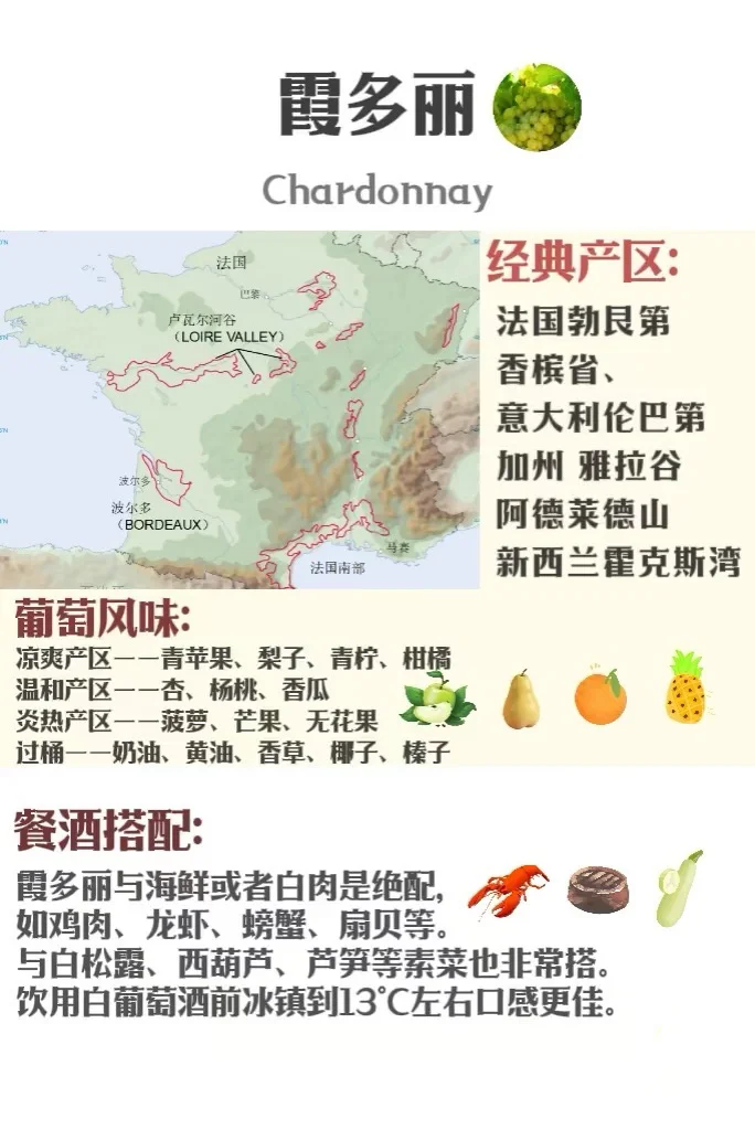 5分钟速通葡萄品种 ，你也可以变红酒达人