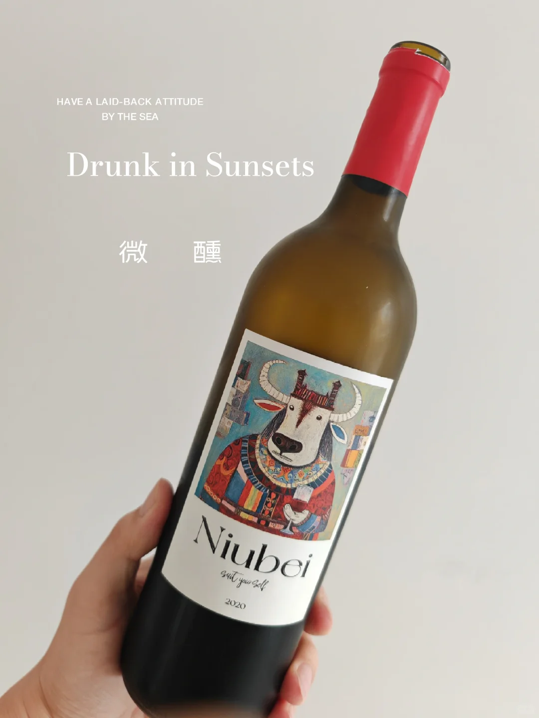微醺笔记-Niubei,2020