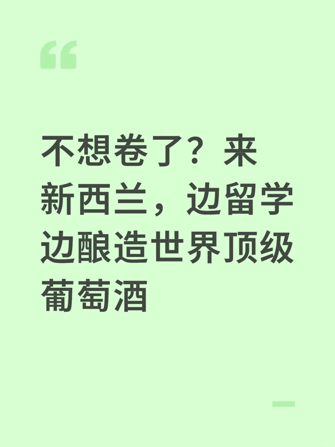 不想卷了？来新西兰学葡萄酒酿造