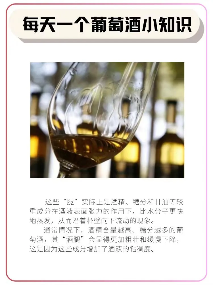 你知道葡萄酒的“腿”吗？