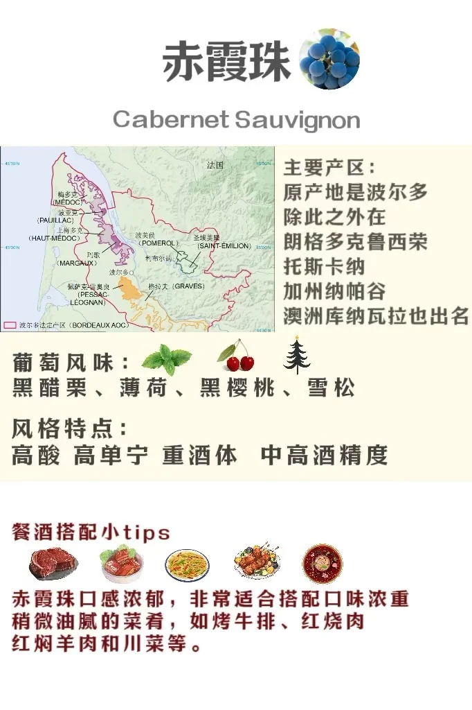 5分钟速通葡萄品种 ，你也可以变红酒达人