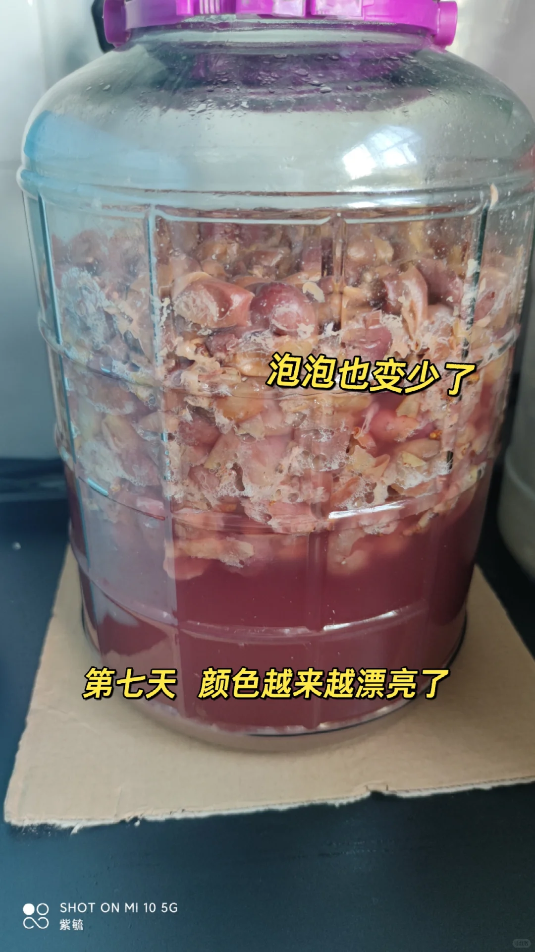 简单做葡萄酒?????