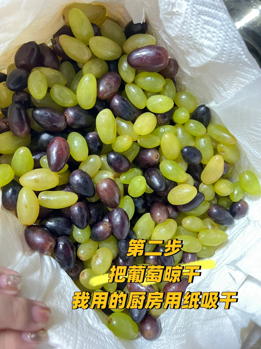 第一次制作葡萄酒
