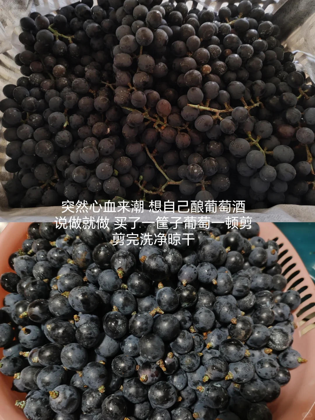 自制葡萄?酒?