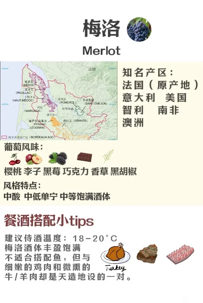 5分钟速通葡萄品种 ，你也可以变红酒达人
