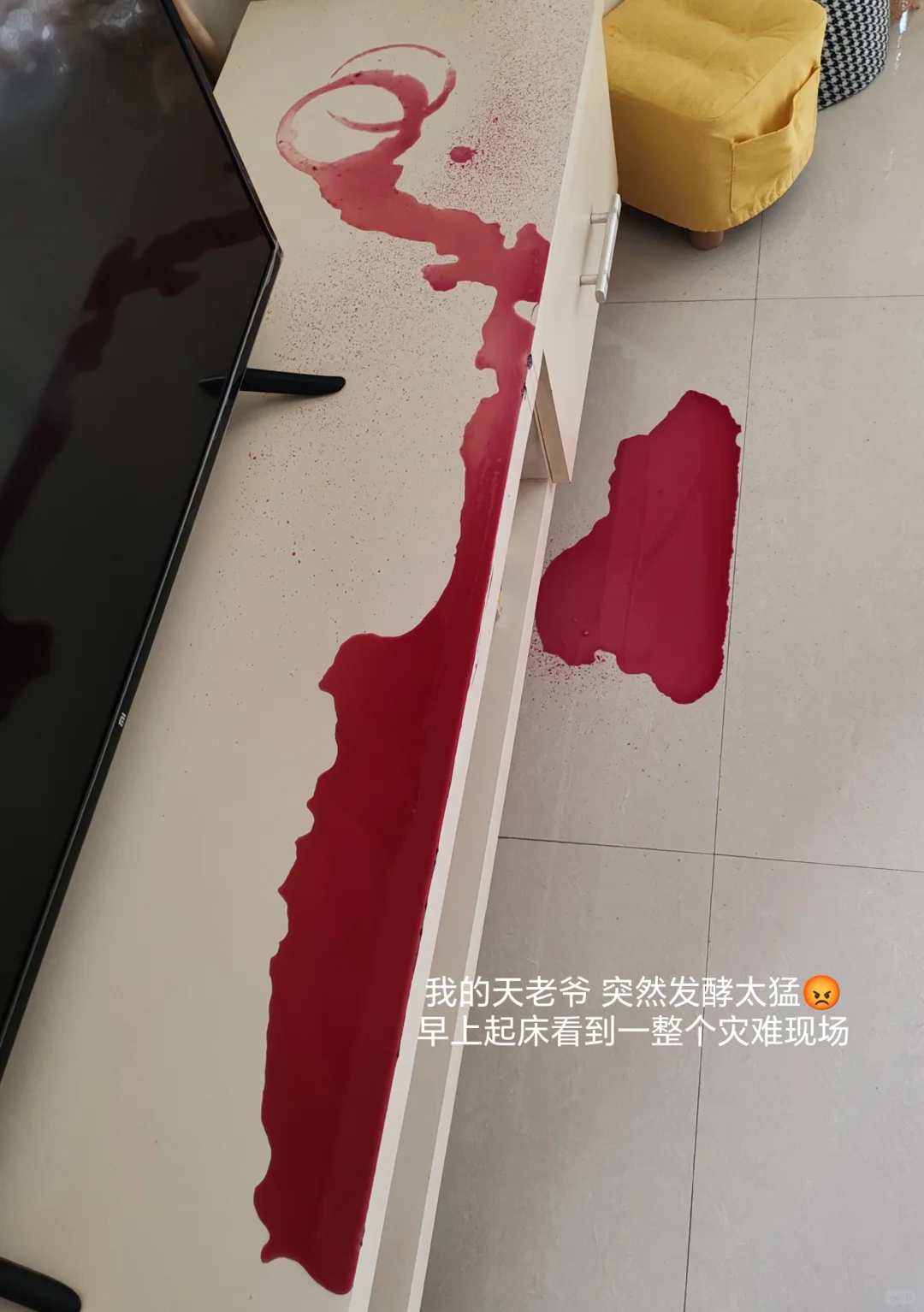 自制葡萄?酒?