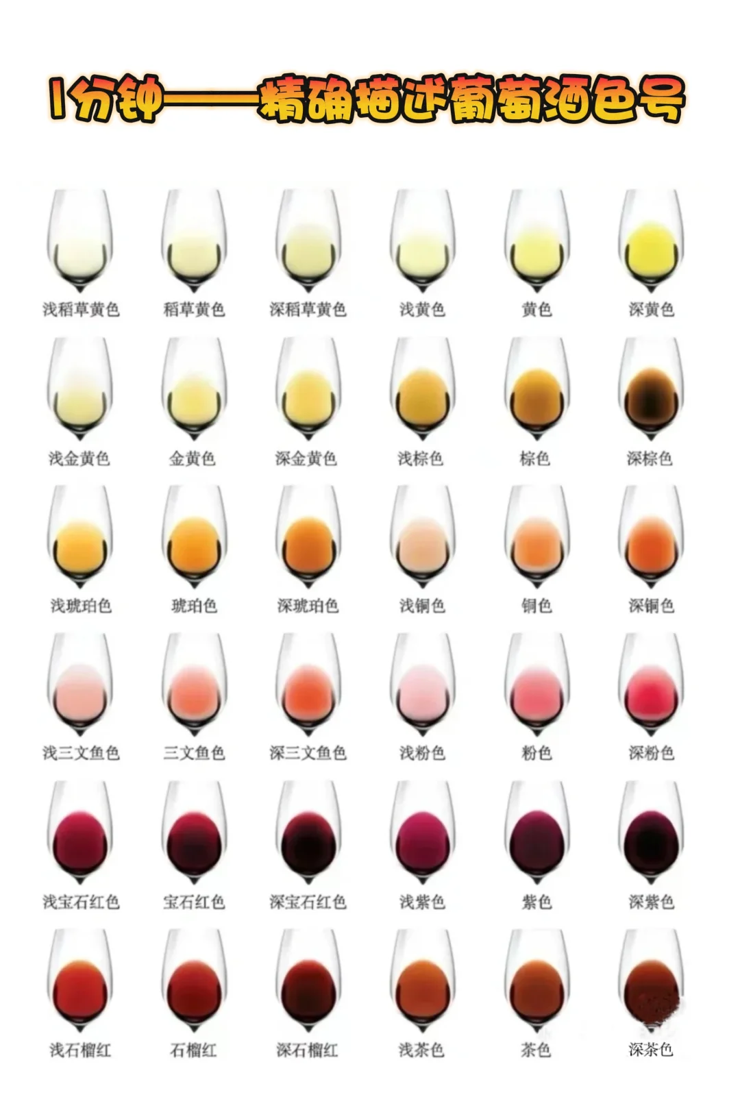 红酒知识科普——当葡萄酒按颜色分类