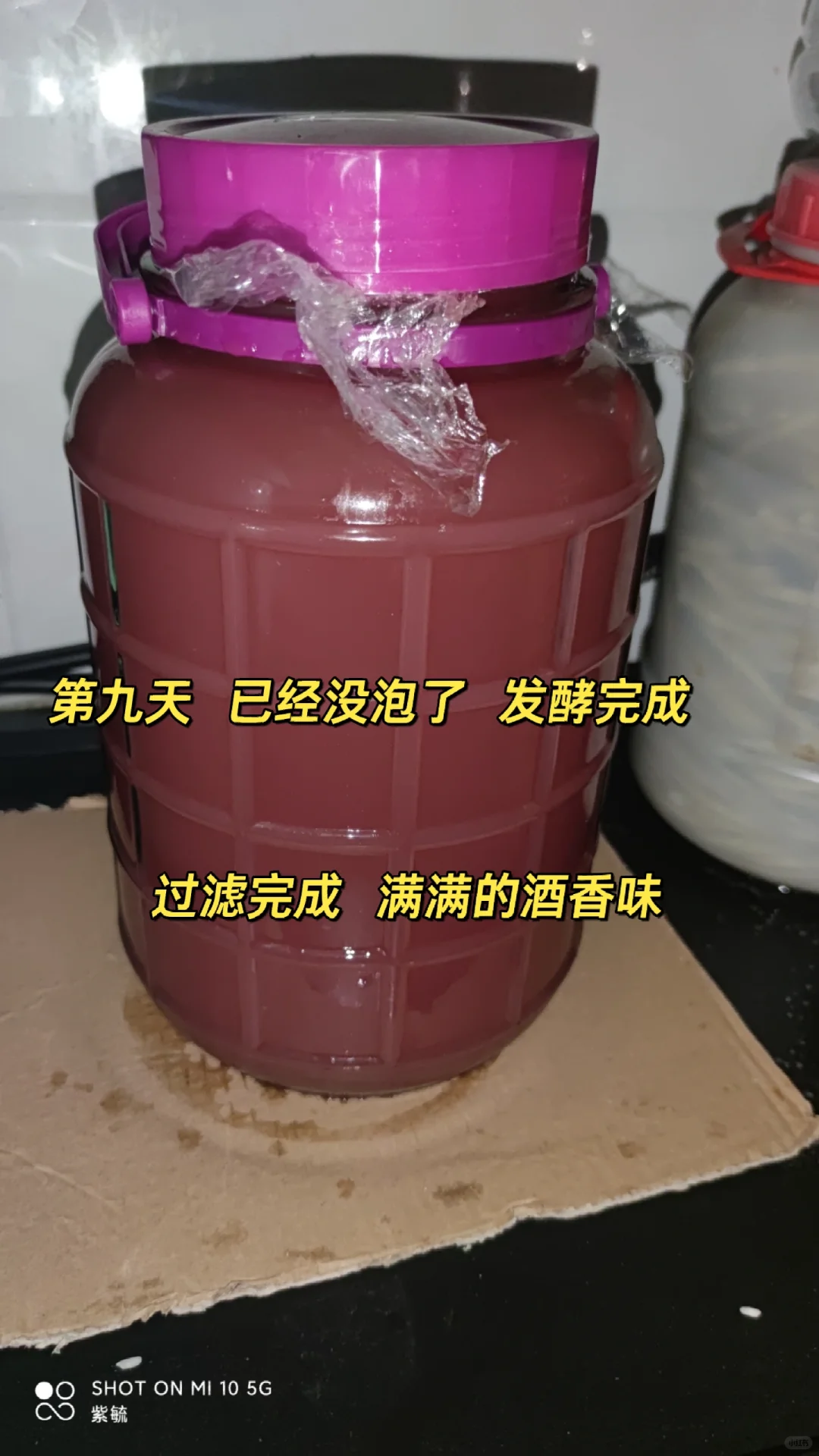 简单做葡萄酒?????