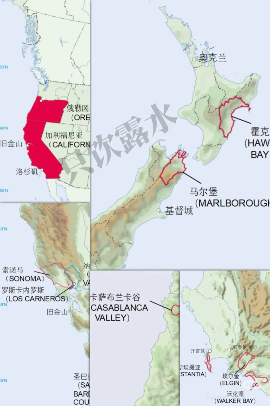 5分钟速通葡萄品种 ，你也可以变红酒达人