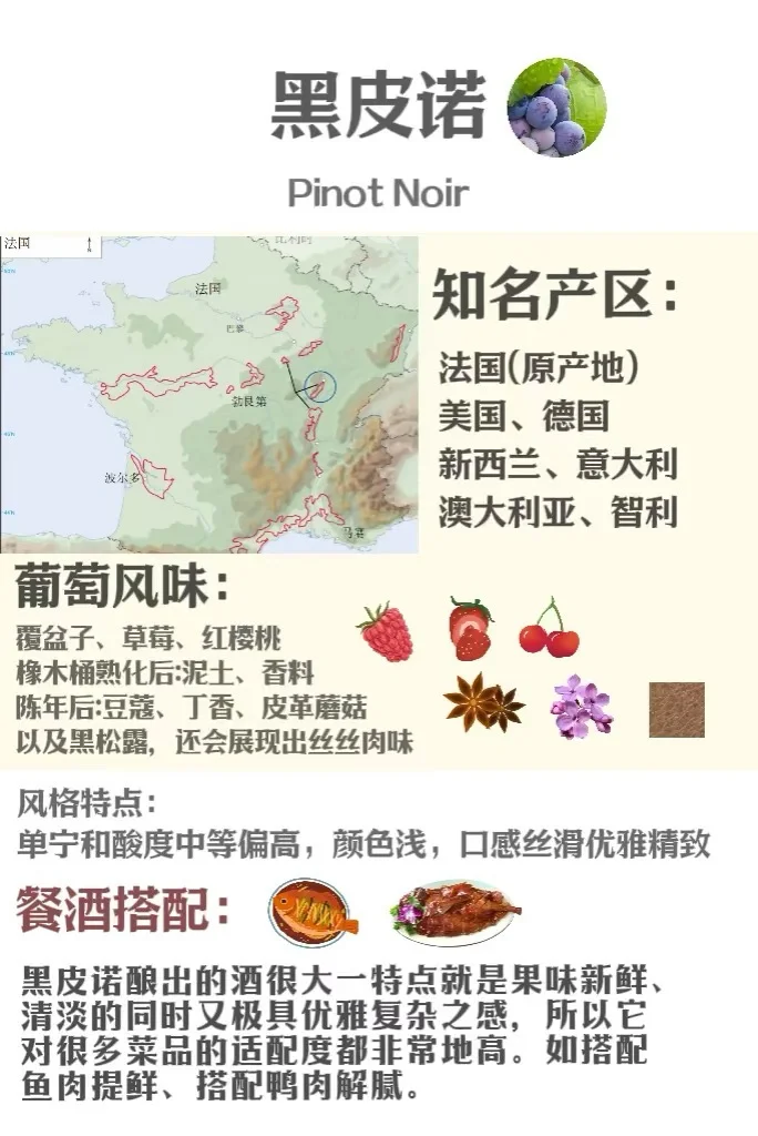 5分钟速通葡萄品种 ，你也可以变红酒达人
