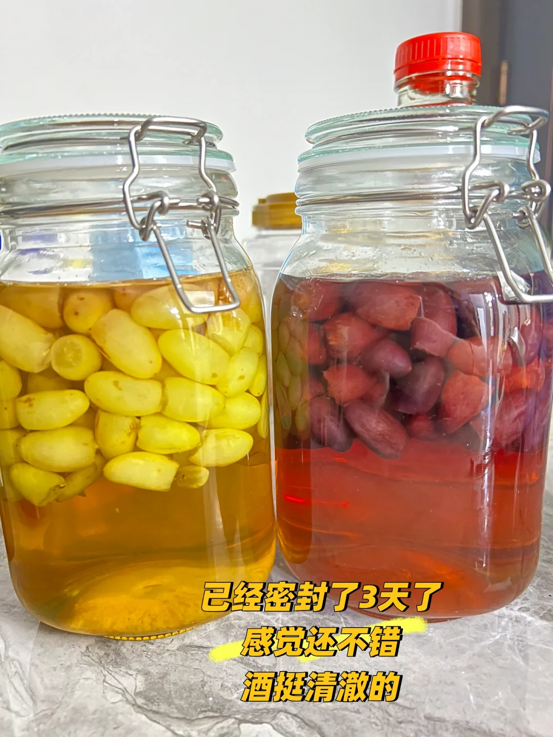 第一次制作葡萄酒