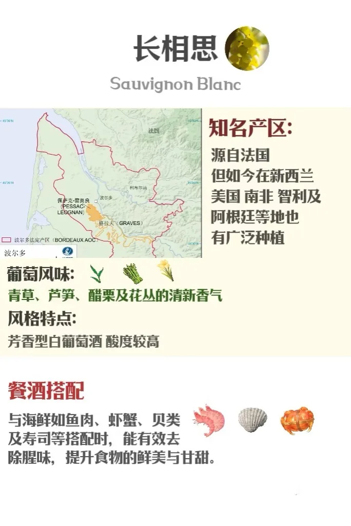 5分钟速通葡萄品种 ，你也可以变红酒达人