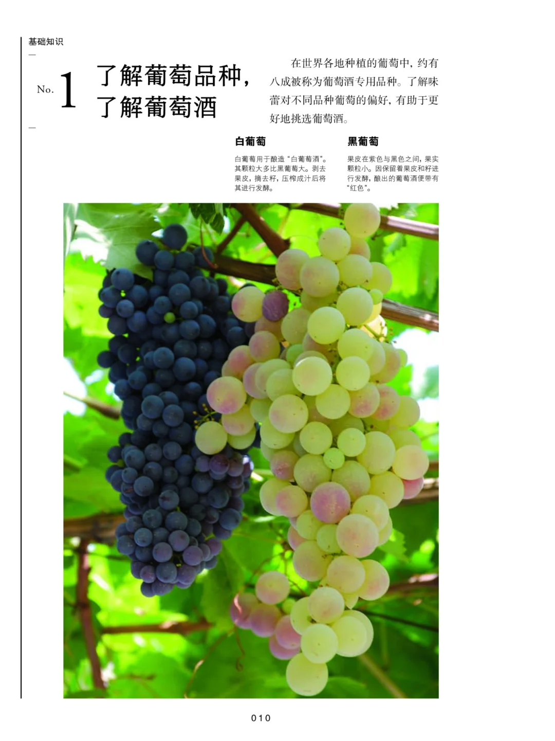 ? 揣在兜里的 