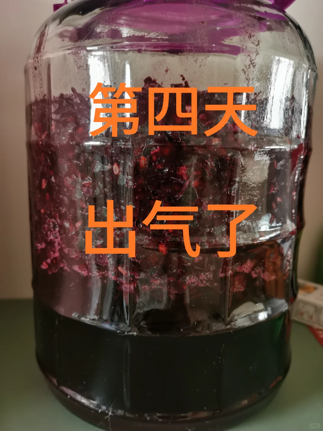 自酿葡萄酒第四天，葡萄皮漂浮出现大量气泡