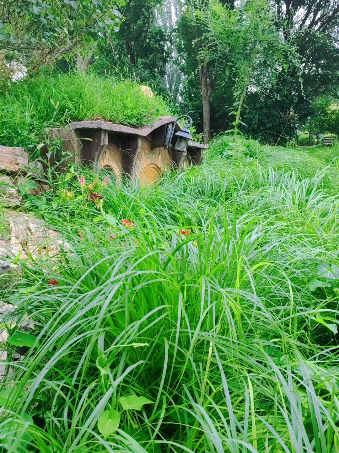葡萄酒小镇