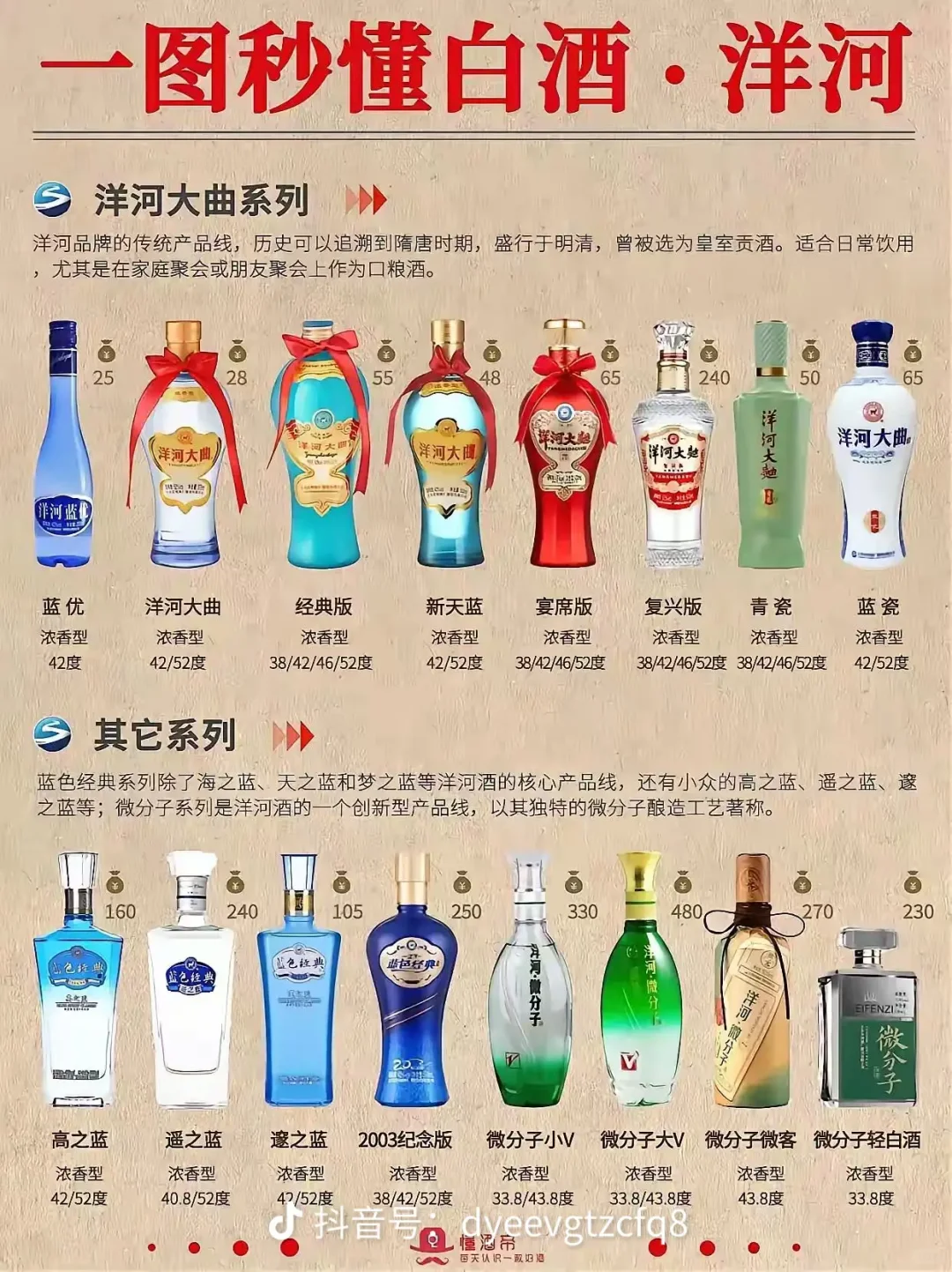  沉浸式品鉴洋河白酒