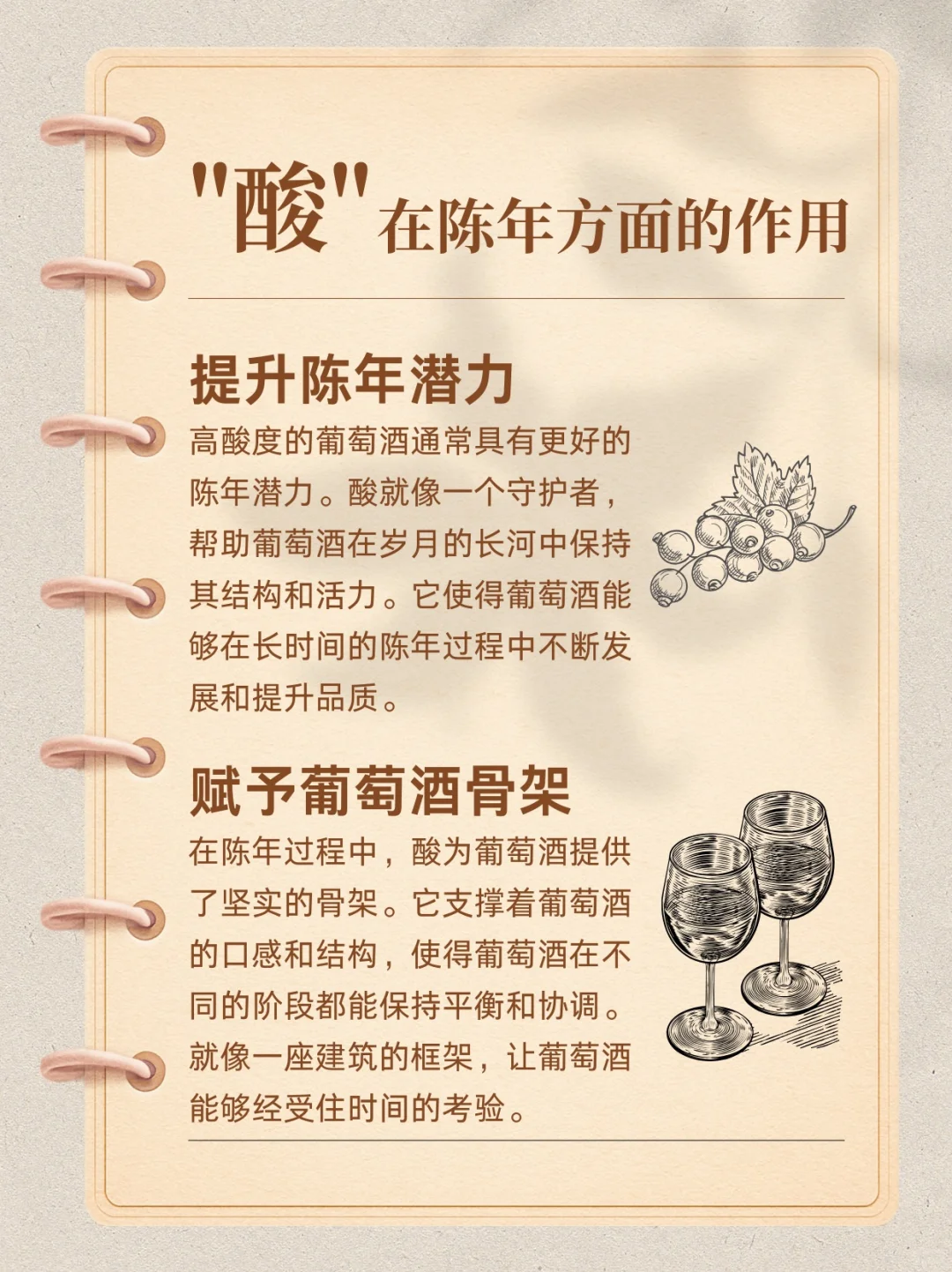 葡萄酒中的酸味到底有什么用啊！