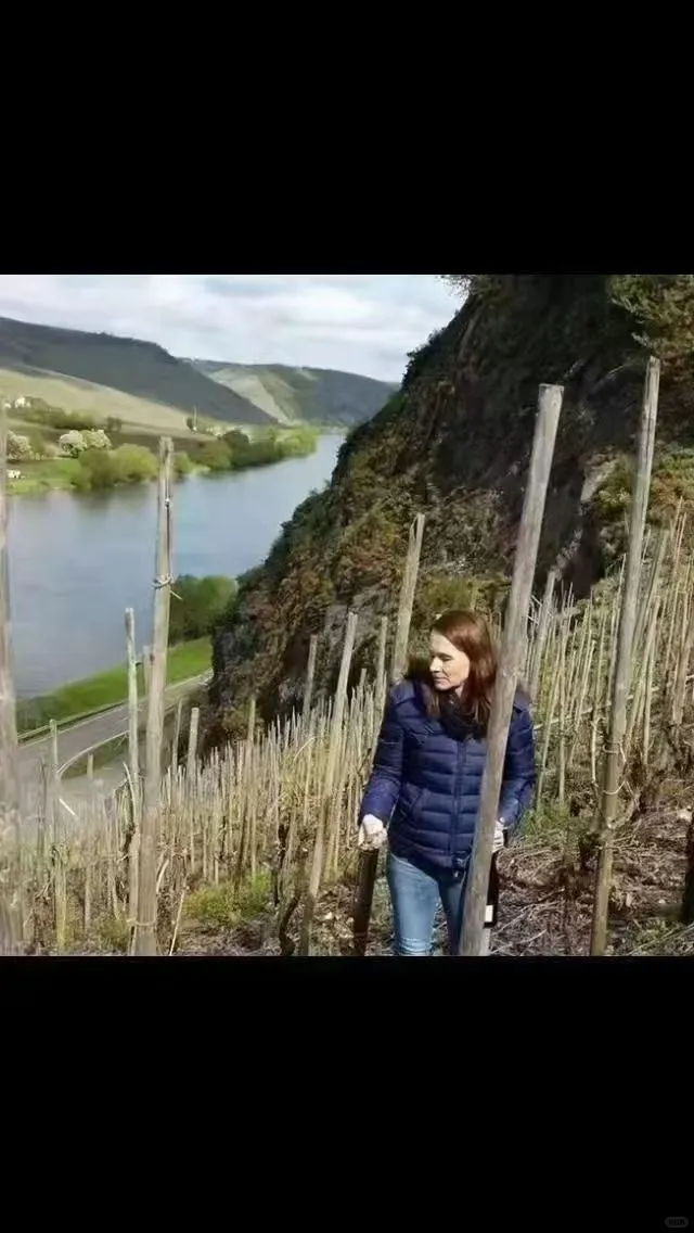 一款复杂的葡萄酒是如何形成的？