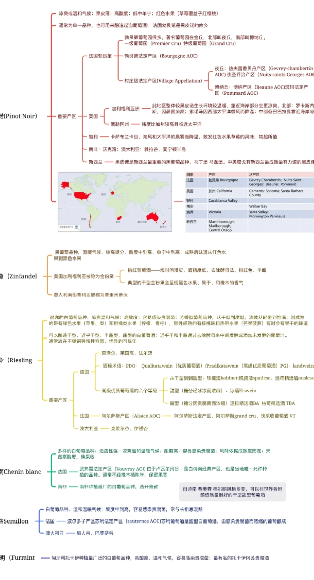 葡萄酒二级知识自用整理版