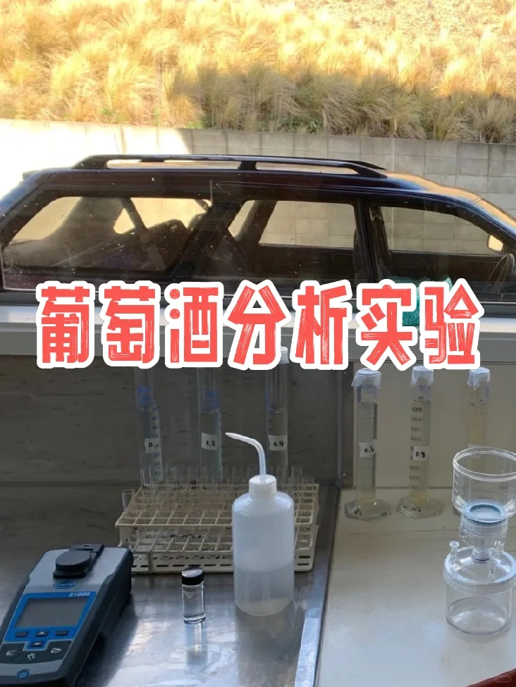 第二章｜中农学姐带你了解真实的葡萄酒课程