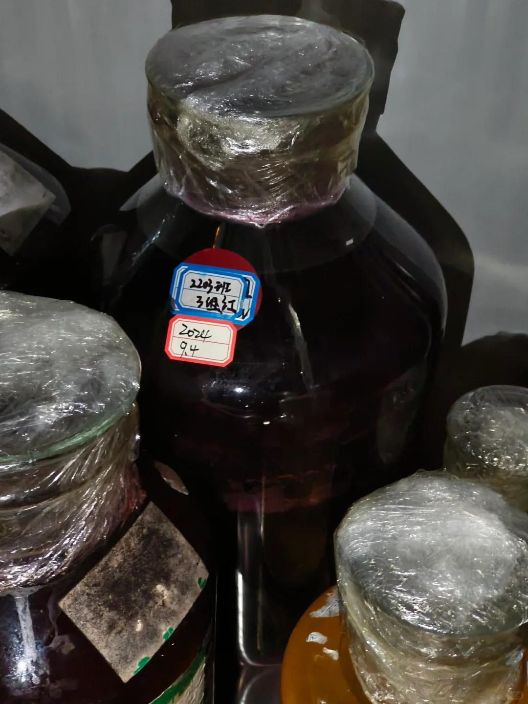 葡酒专业｜在大学酿酒是什么体验??