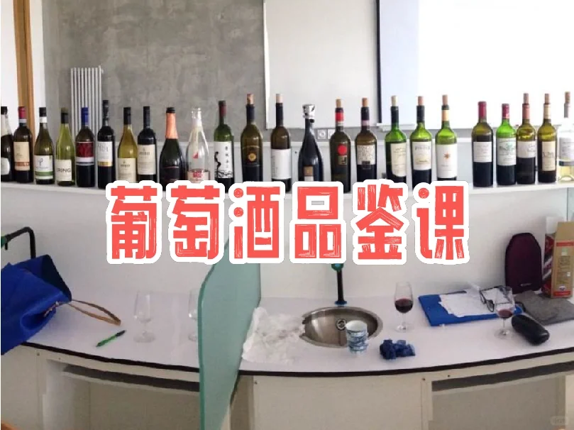 第二章｜中农学姐带你了解真实的葡萄酒课程