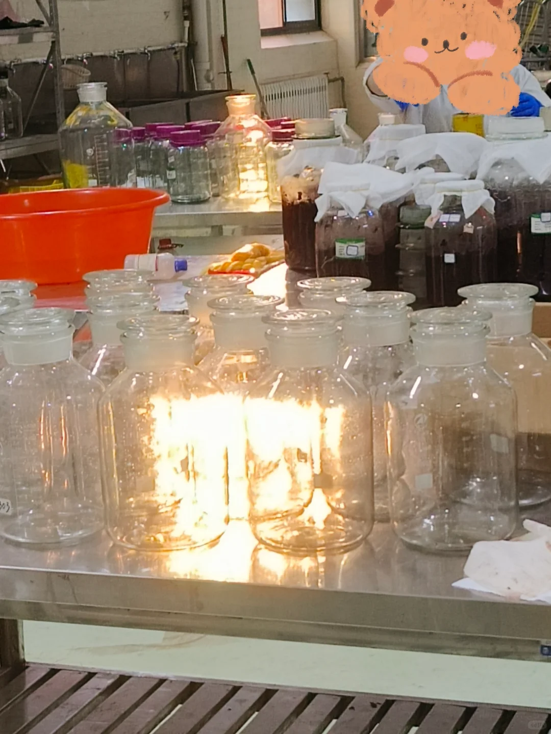 葡酒专业｜在大学酿酒是什么体验??