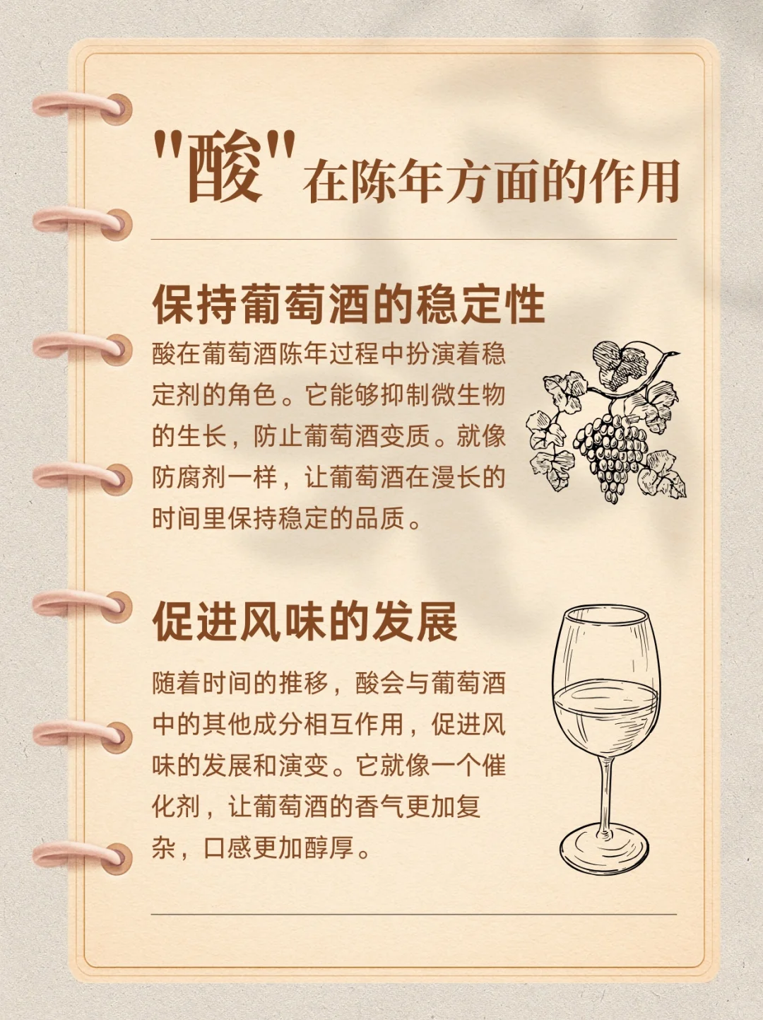葡萄酒中的酸味到底有什么用啊！
