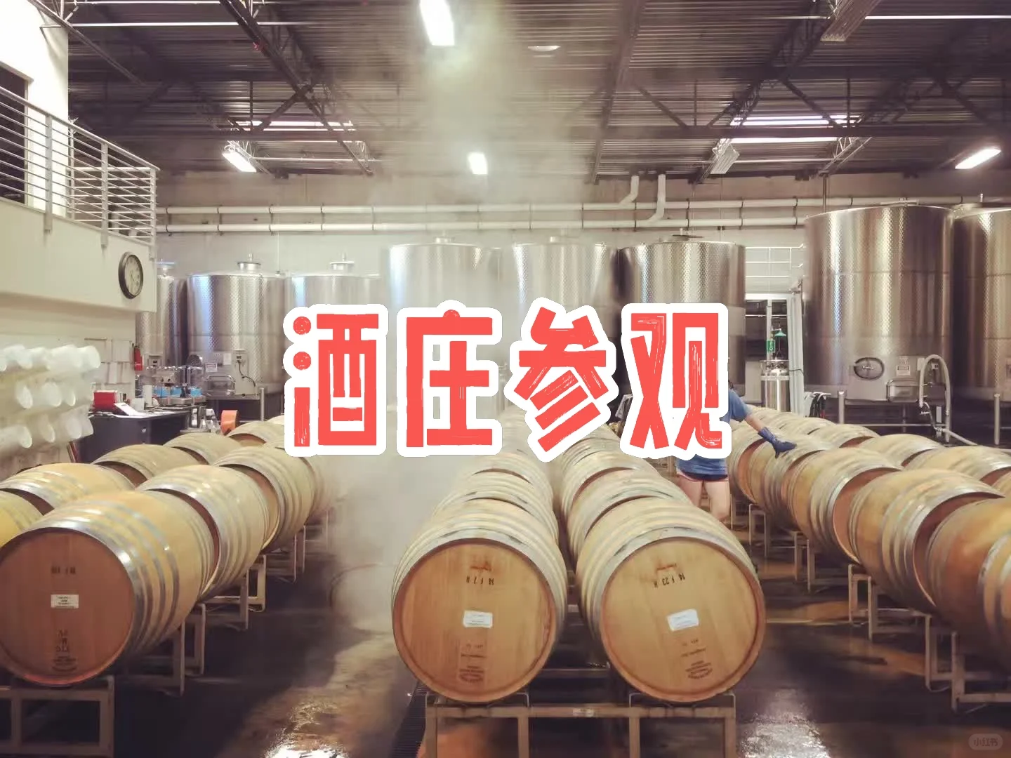 第二章｜中农学姐带你了解真实的葡萄酒课程