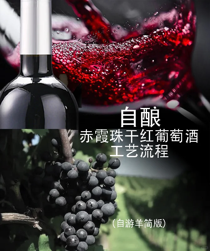 自酿干红葡萄酒工艺流程(自游羊简版)