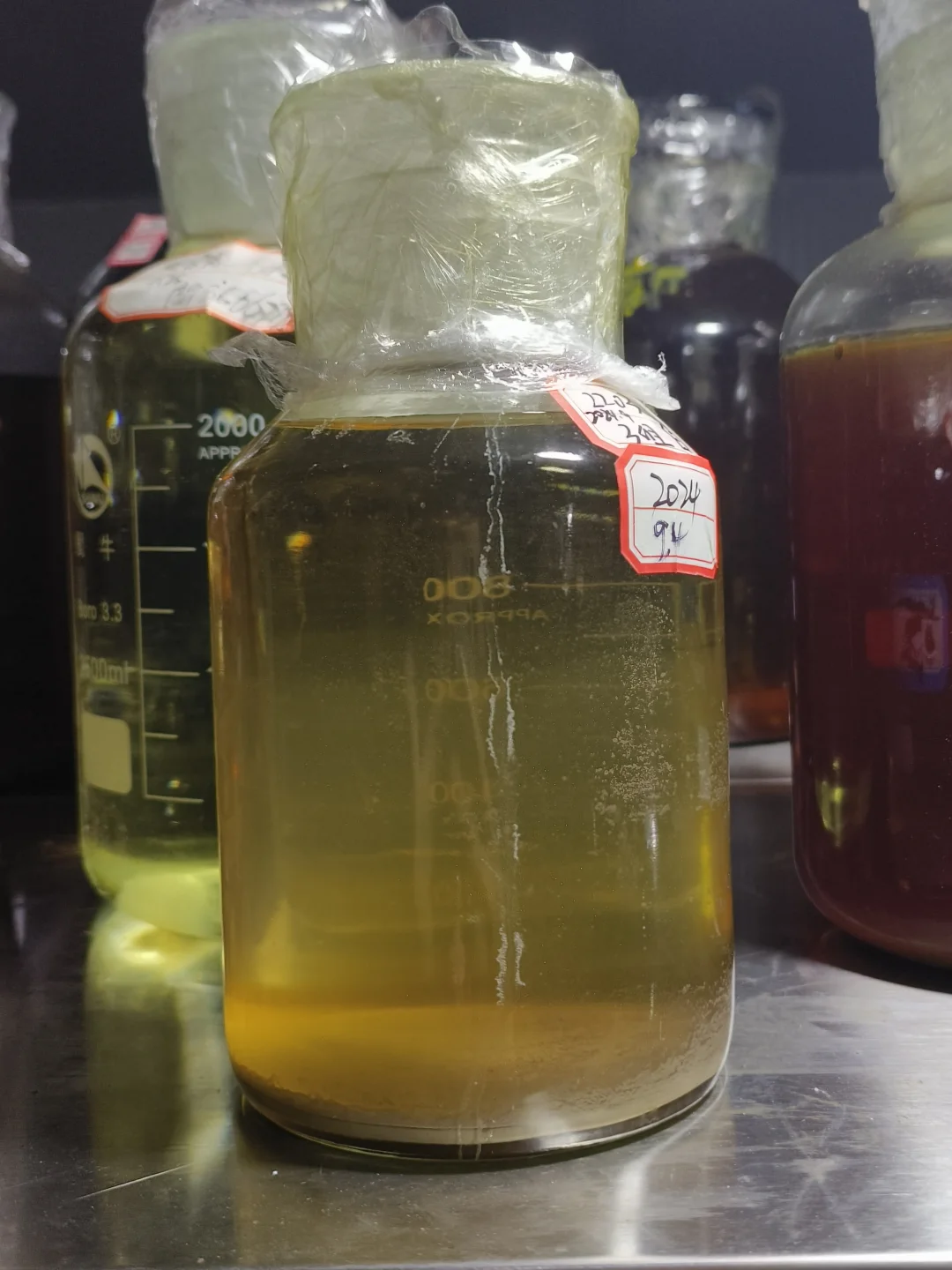 葡酒专业｜在大学酿酒是什么体验??