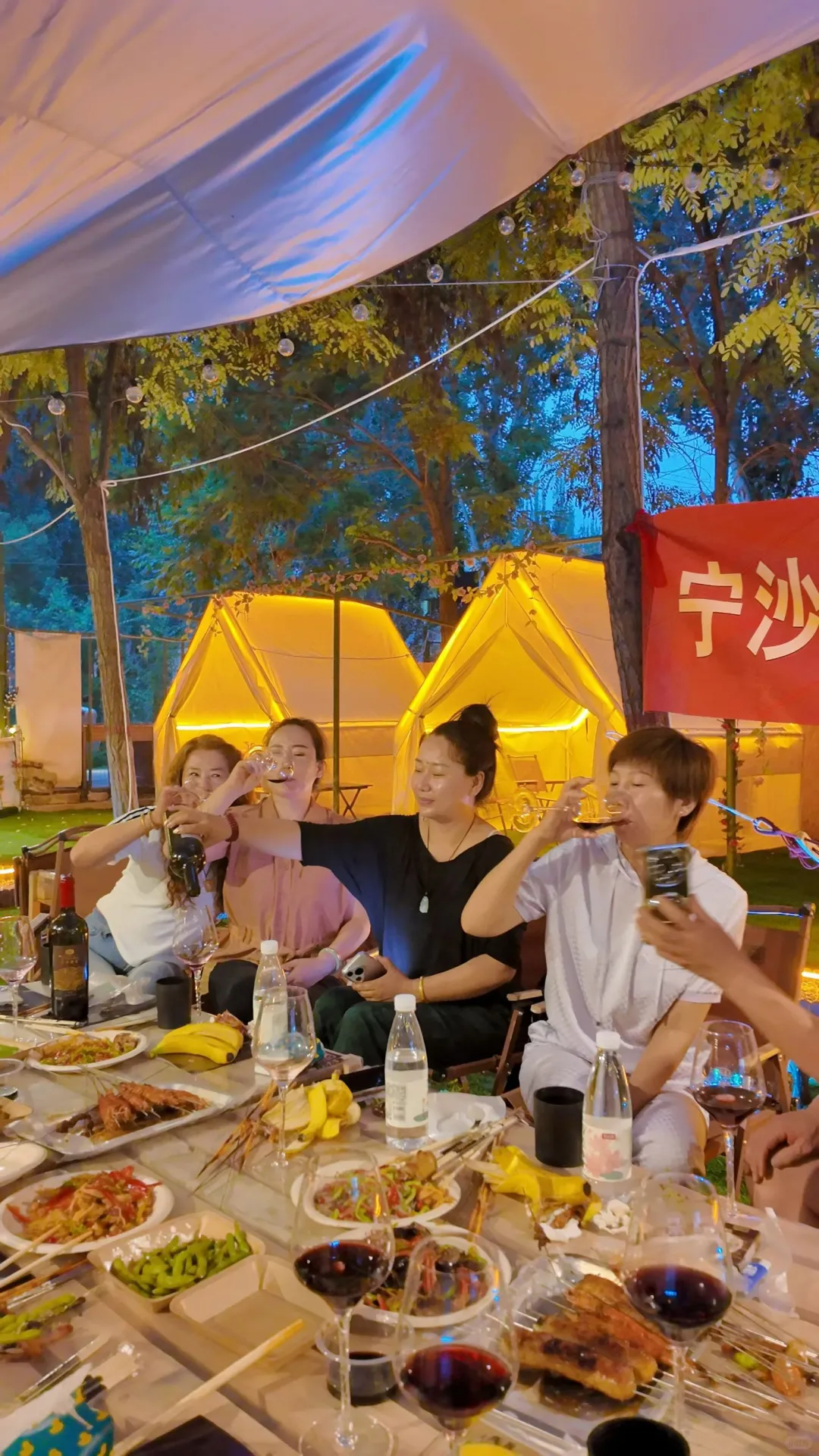 宁沙干红葡萄酒品鉴晚宴