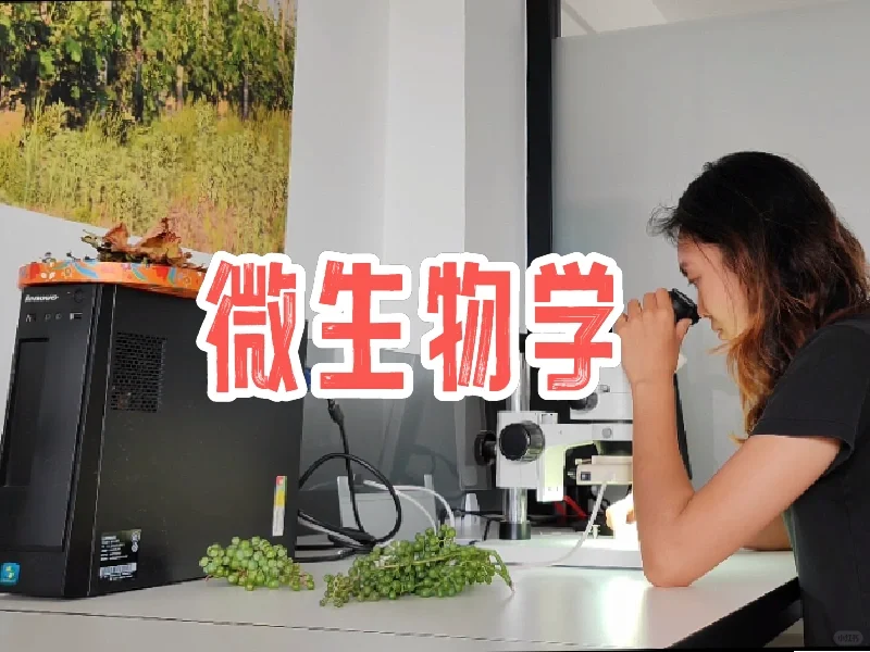 第二章｜中农学姐带你了解真实的葡萄酒课程