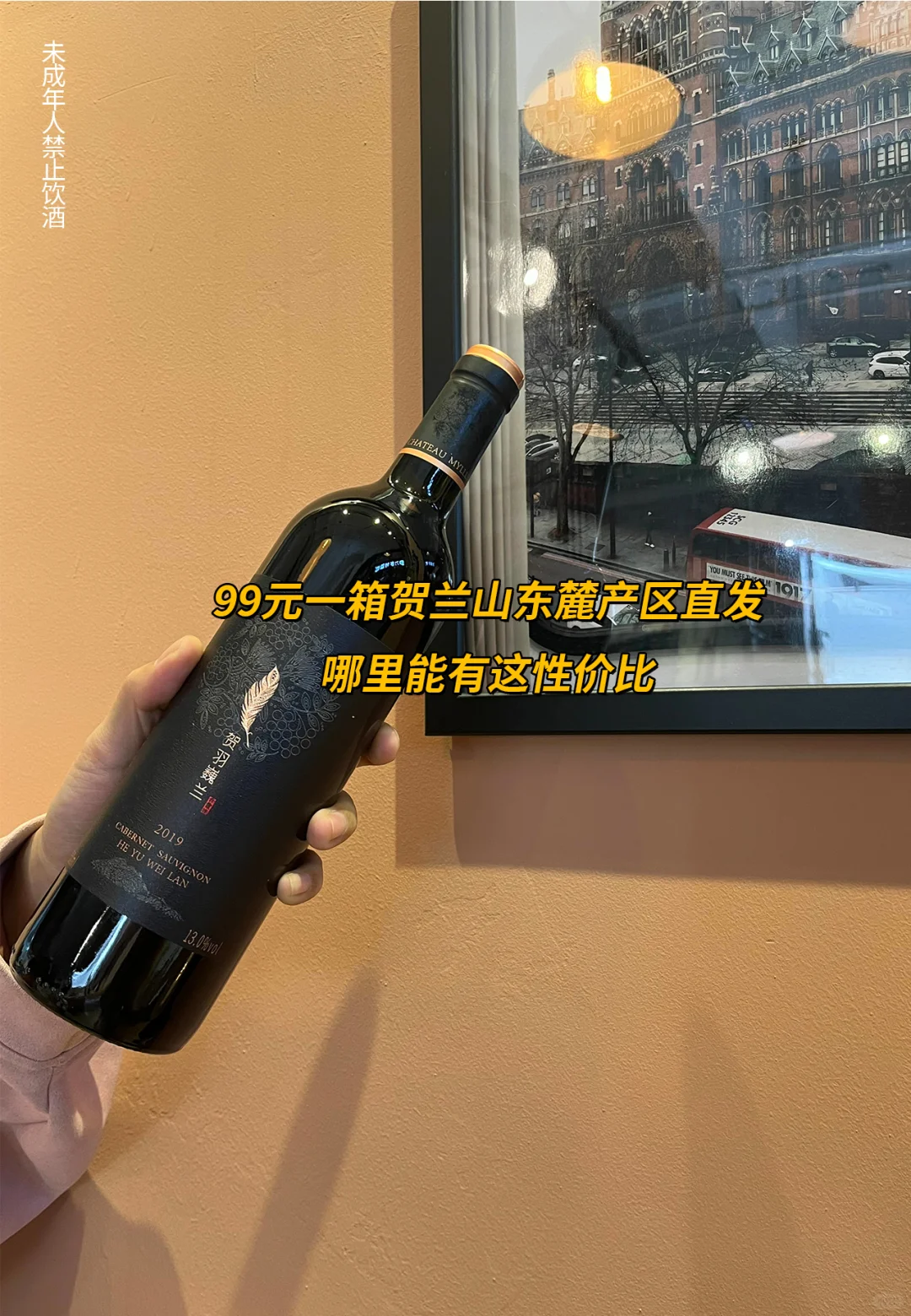 挖到宝了！宁夏贺兰山东麓的神仙红酒闭眼冲