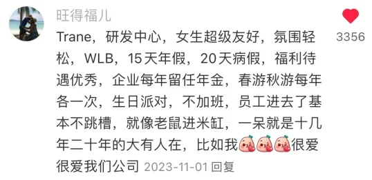 原来这才是三无草包留子争着要进的外企